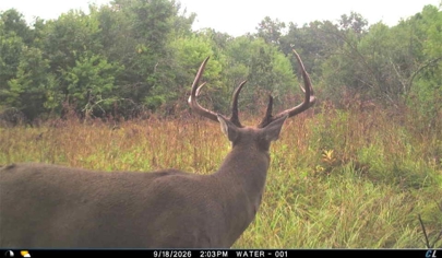 Listing 33