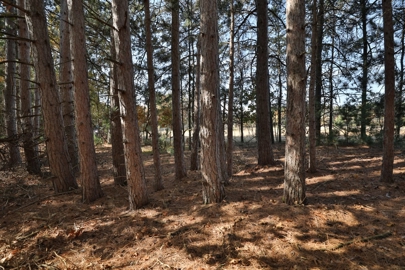 Listing 33