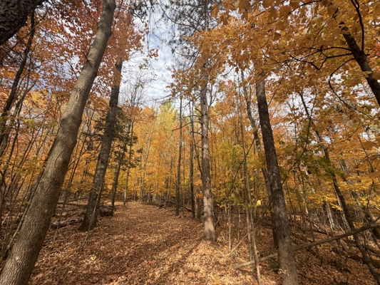 Build Your Northwoods Dream on Peshtigo Lake
