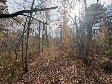 Listing 103