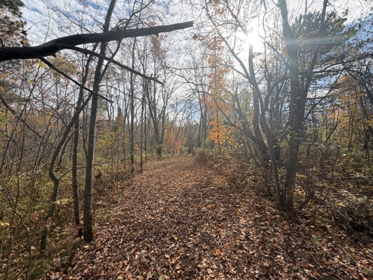 Build Your Northwoods Dream on Peshtigo Lake
