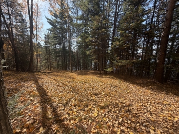Listing 103