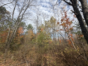 Listing 103