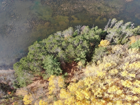Build Your Northwoods Dream on Peshtigo Lake
