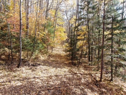 Build Your Northwoods Dream on Peshtigo Lake