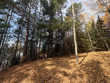 Listing 103