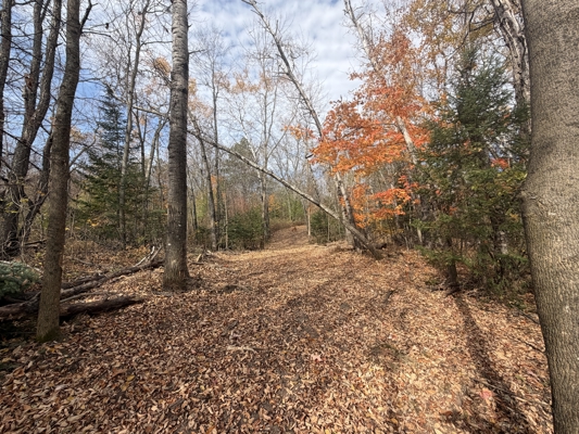 Build Your Northwoods Dream on Peshtigo Lake