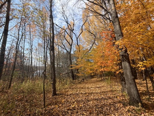 Build Your Northwoods Dream on Peshtigo Lake