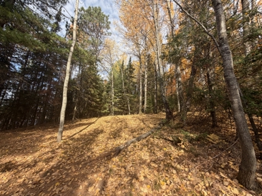 Listing 103