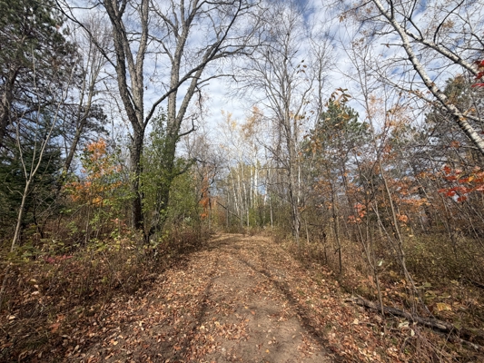 Build Your Northwoods Dream on Peshtigo Lake