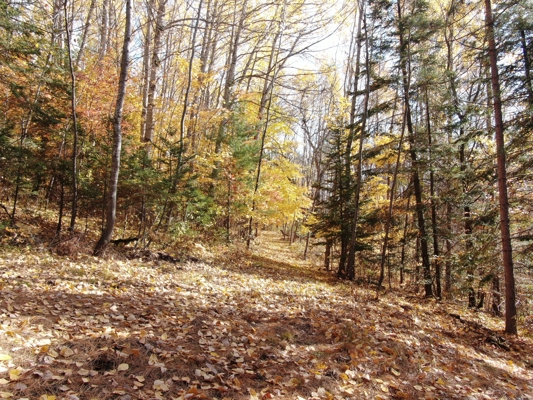 Build Your Northwoods Dream on Peshtigo Lake