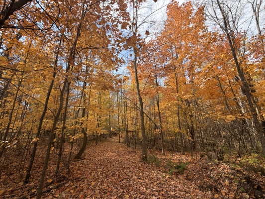 Build Your Northwoods Dream on Peshtigo Lake