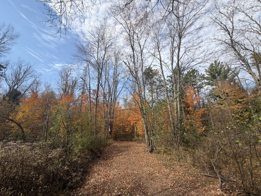 Build Your Northwoods Dream on Peshtigo Lake