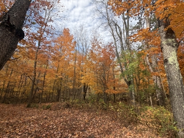 Listing 103