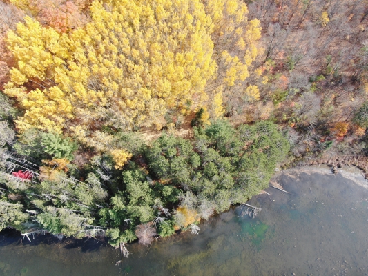 Build Your Northwoods Dream on Peshtigo Lake