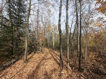 Listing 103