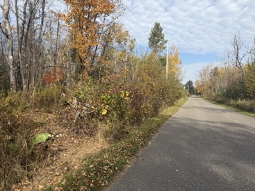 Listing 103
