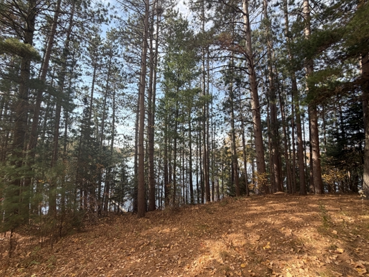 Build Your Northwoods Dream on Peshtigo Lake