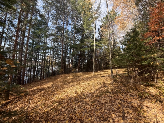 Build Your Northwoods Dream on Peshtigo Lake