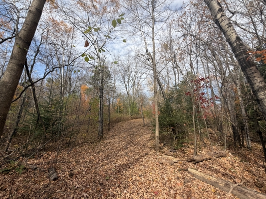 Build Your Northwoods Dream on Peshtigo Lake