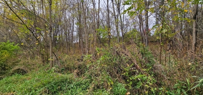 Listing 51