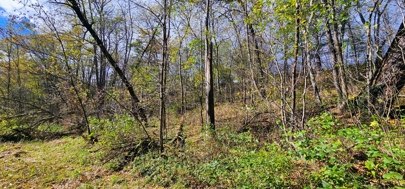 Listing 51