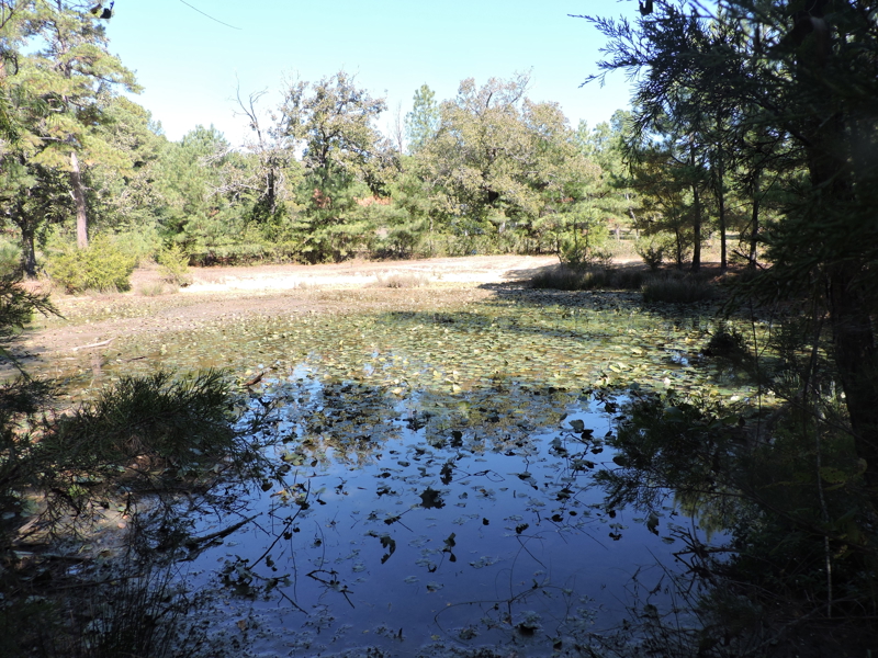 No Caption