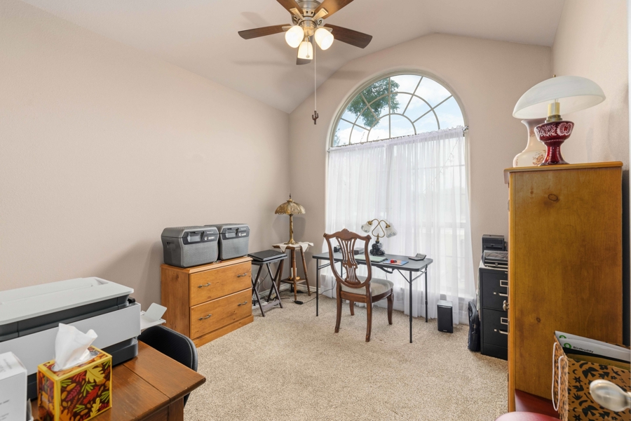 No Caption