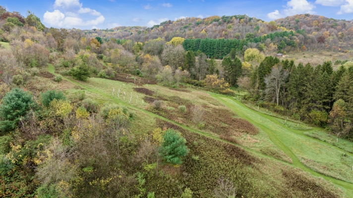 95.02-Acre Premier Whitetail Hunting Estate with Log Cabin, Pond