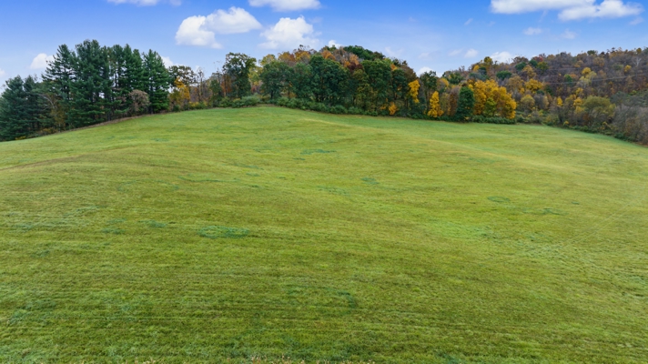 95.02-Acre Premier Whitetail Hunting Estate with Log Cabin, Pond