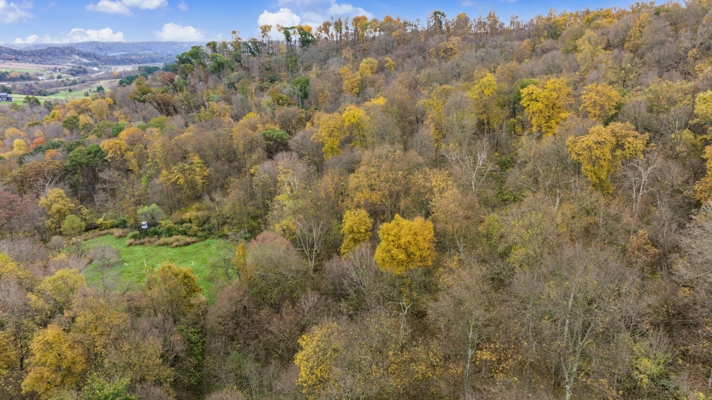 95.02-Acre Premier Whitetail Hunting Estate with Log Cabin, Pond