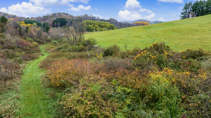95.02-Acre Premier Whitetail Hunting Estate with Log Cabin, Pond