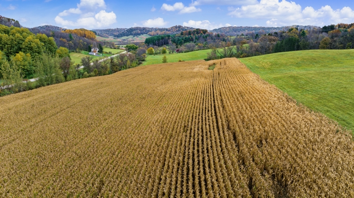 95.02-Acre Premier Whitetail Hunting Estate with Log Cabin, Pond