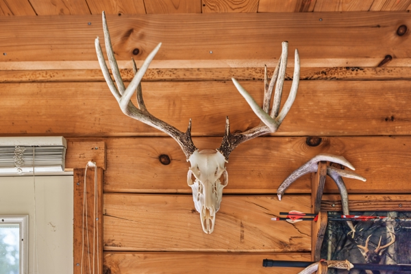 95.02-Acre Premier Whitetail Hunting Estate with Log Cabin, Pond