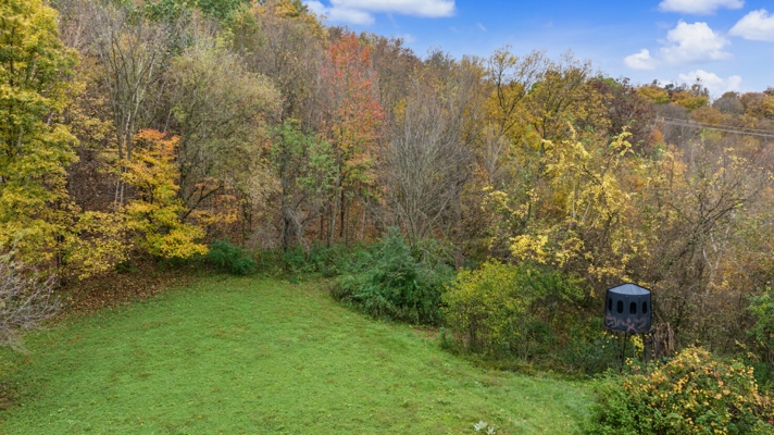 95.02-Acre Premier Whitetail Hunting Estate with Log Cabin, Pond