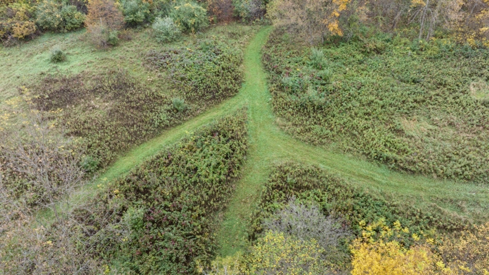 95.02-Acre Premier Whitetail Hunting Estate with Log Cabin, Pond