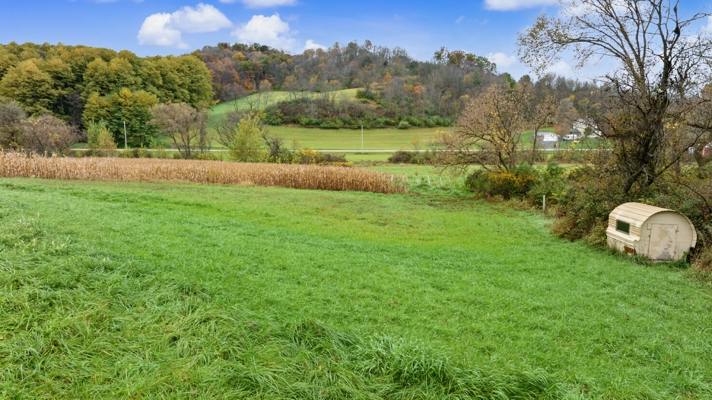 95.02-Acre Premier Whitetail Hunting Estate with Log Cabin, Pond