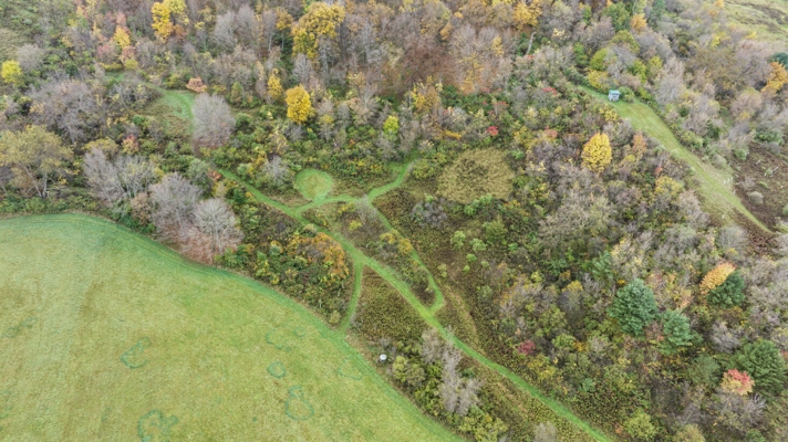 95.02-Acre Premier Whitetail Hunting Estate with Log Cabin, Pond