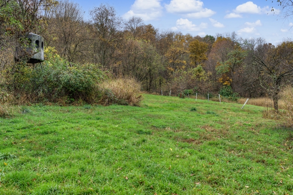 95.02-Acre Premier Whitetail Hunting Estate with Log Cabin, Pond