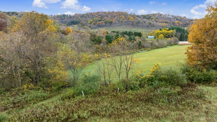 95.02-Acre Premier Whitetail Hunting Estate with Log Cabin, Pond