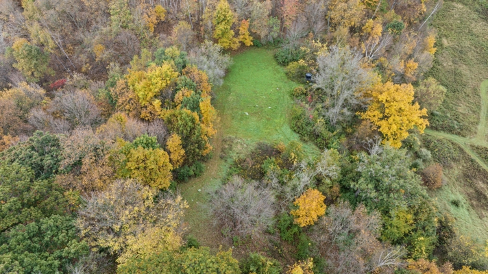 95.02-Acre Premier Whitetail Hunting Estate with Log Cabin, Pond