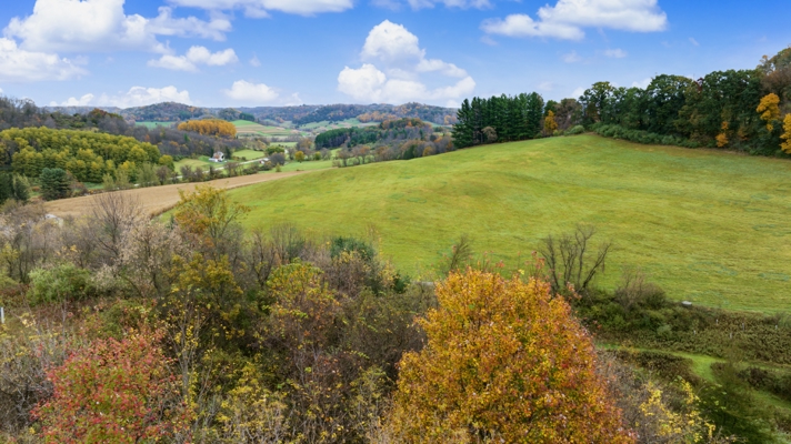 95.02-Acre Premier Whitetail Hunting Estate with Log Cabin, Pond