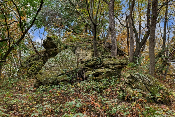 95.02-Acre Premier Whitetail Hunting Estate with Log Cabin, Pond