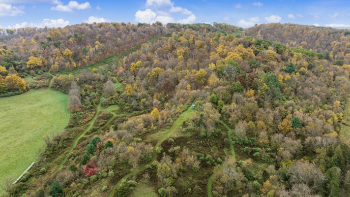 95.02-Acre Premier Whitetail Hunting Estate with Log Cabin, Pond