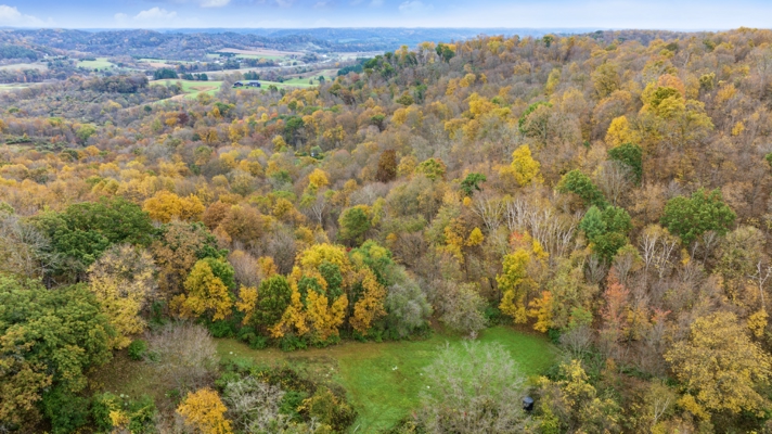 95.02-Acre Premier Whitetail Hunting Estate with Log Cabin, Pond