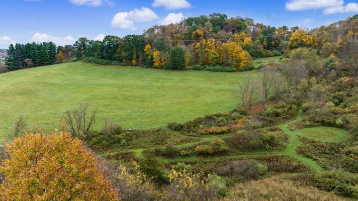 95.02-Acre Premier Whitetail Hunting Estate with Log Cabin, Pond