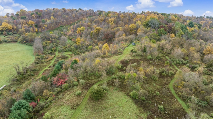 95.02-Acre Premier Whitetail Hunting Estate with Log Cabin, Pond