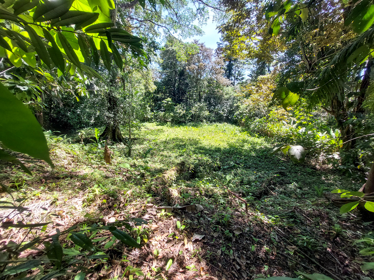 Lot for sale in Bocas del Toro, Bocas del Toro