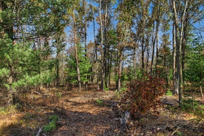 Listing 41