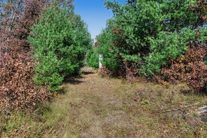 Listing 41